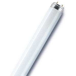 Tubes T8
