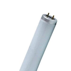 Tube T12
